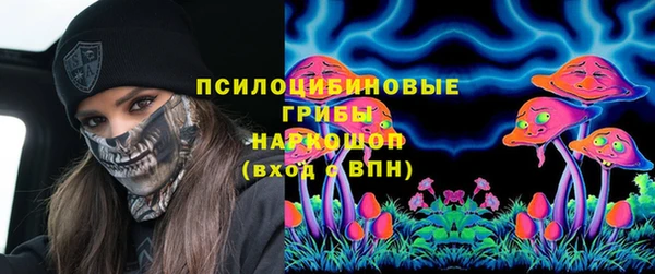 прущие крисы Белокуриха