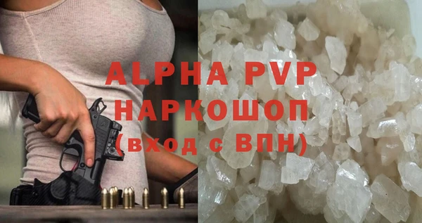 прущие крисы Белокуриха