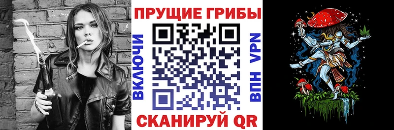 Псилоцибиновые грибы прущие грибы  где найти   Светогорск 