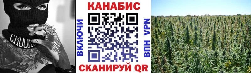 Конопля индика Светогорск